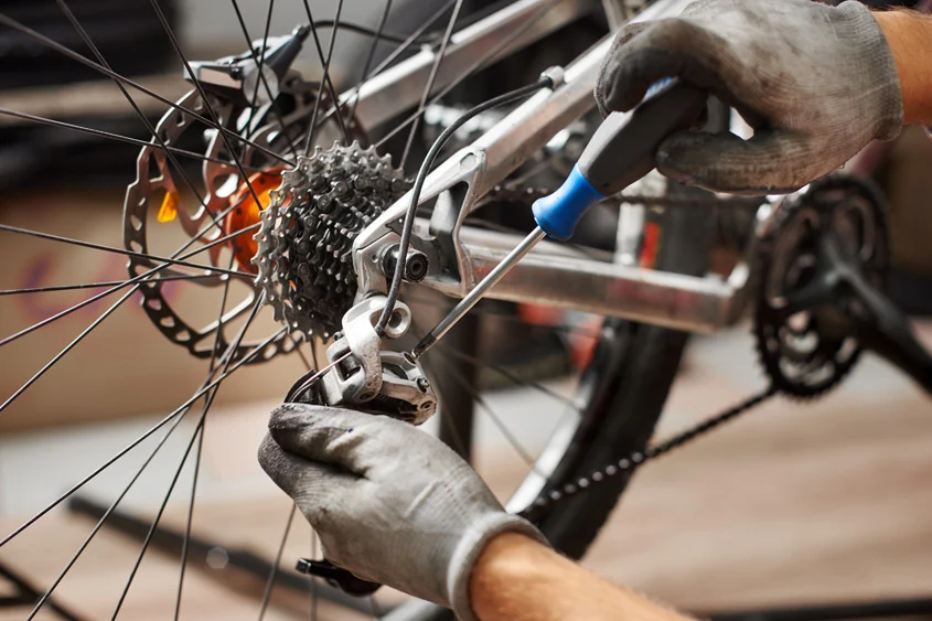 Bicycle mechanic performing a standard bike service